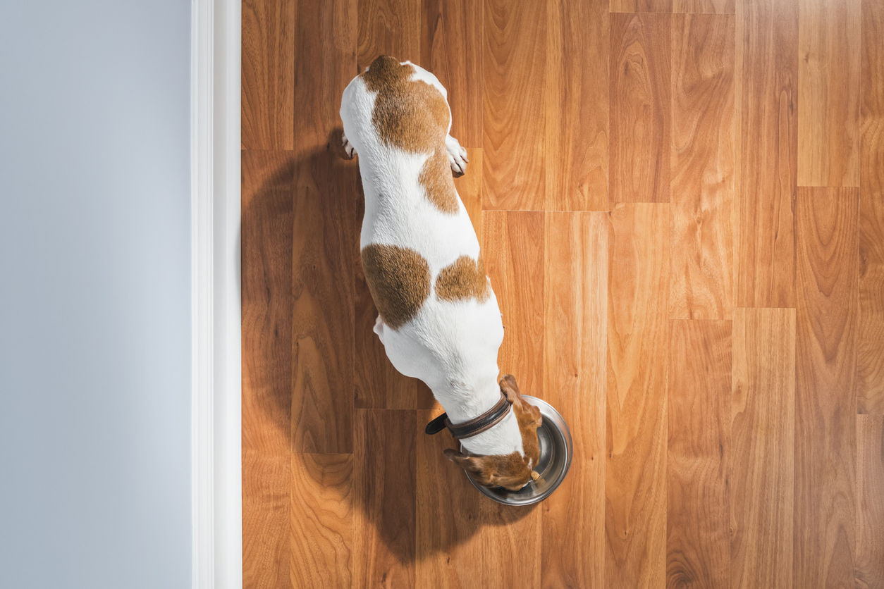 hardwood floor maintenance tips GoBros